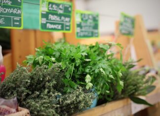 adjoelle herbs