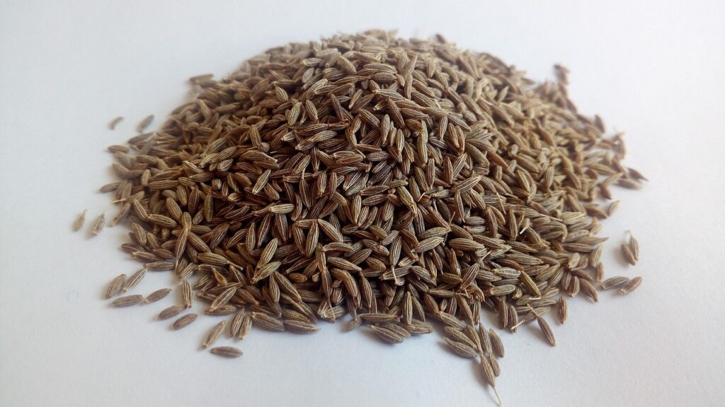 amatussamitahera cumin