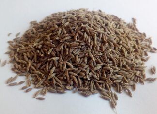 amatussamitahera cumin