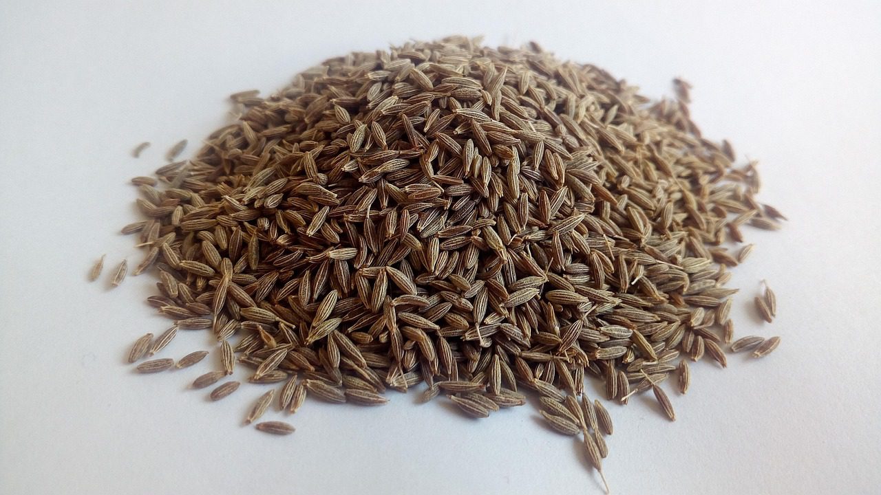 amatussamitahera cumin