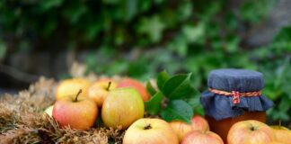 congerdesign apples