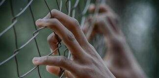 fifaliana joy fence