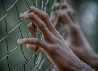 Brnění prstů bez tajemství: Jak pochopit parestézie a podpořit nervy pomocí bylin fifaliana joy fence