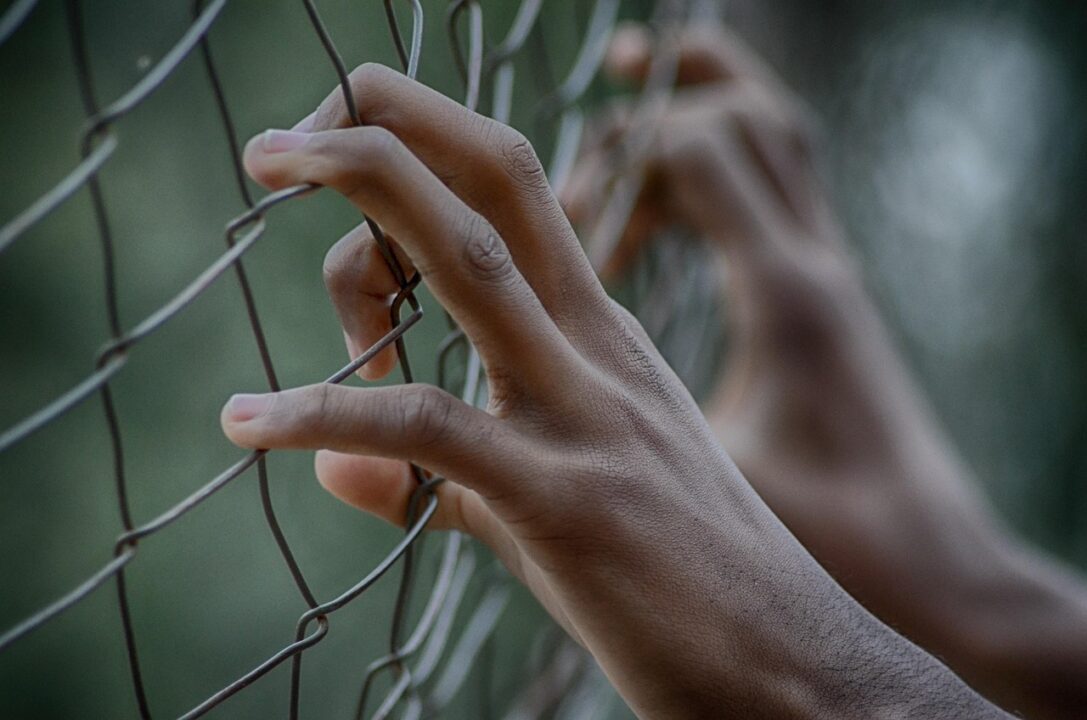 fifaliana joy fence