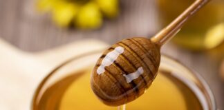 gasfull honey