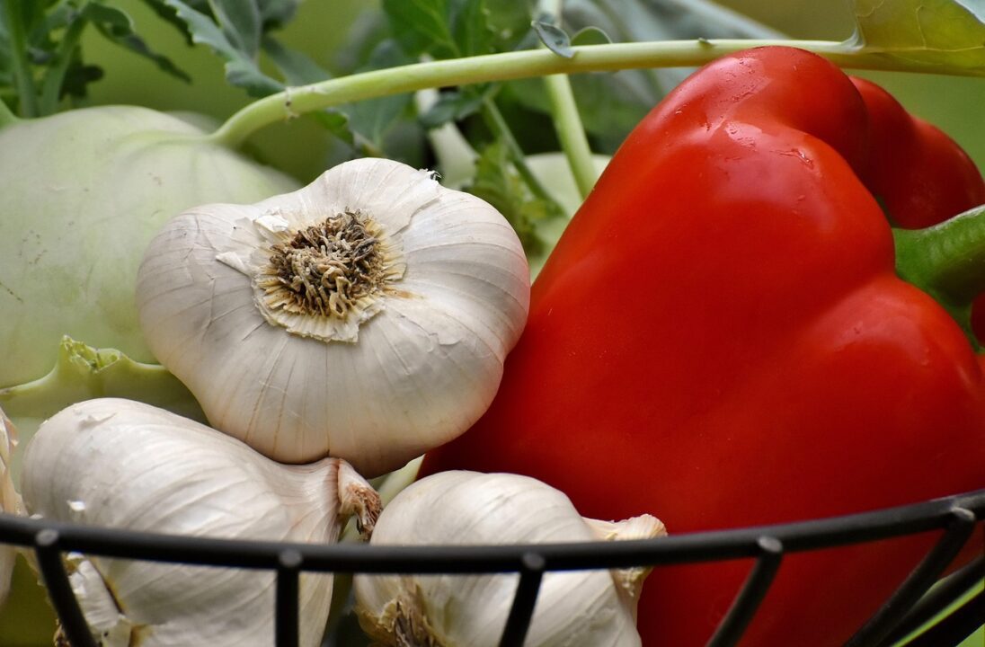alexas fotos vegetables