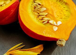 Neviditelný vetřelec ve střevech: tasemnice a tradiční podpora organismu pomocí bylin couleur pumpkin