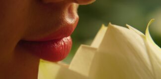 drphuc lips