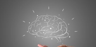 hainguyenrp brain