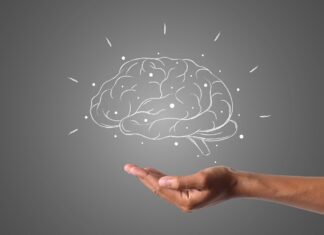 hainguyenrp brain