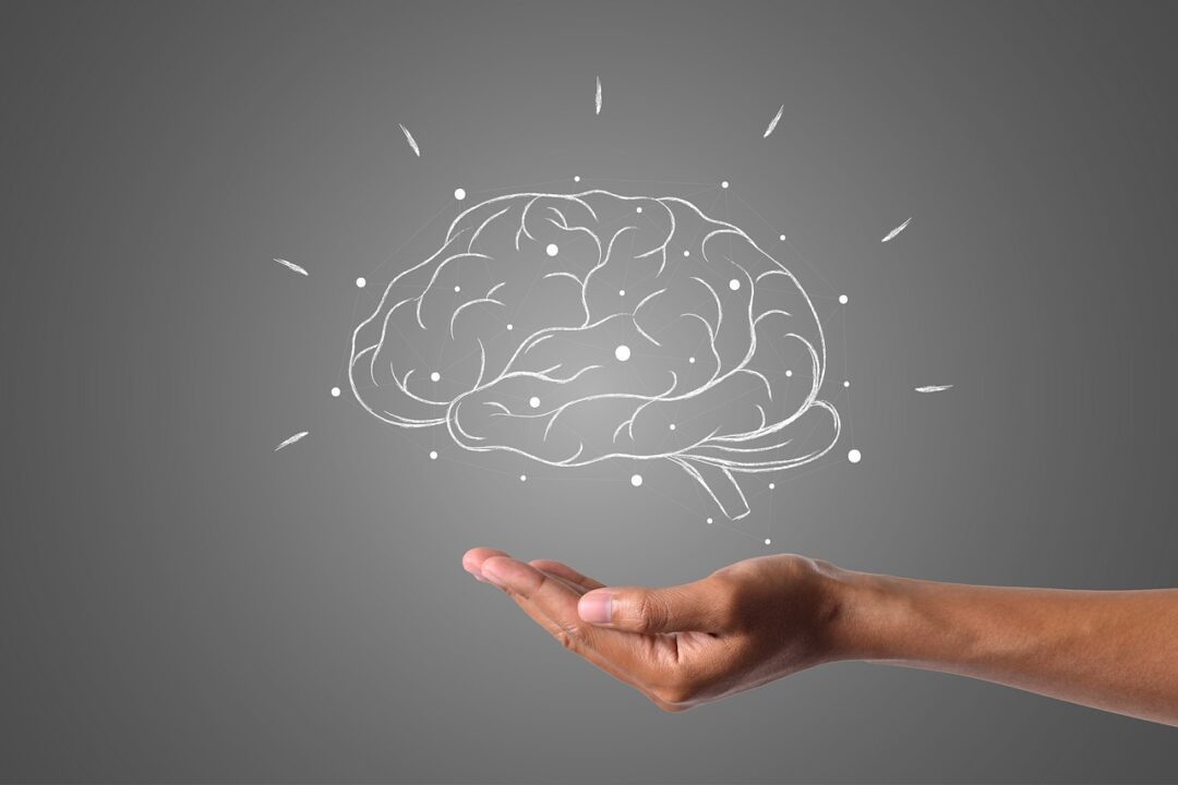 hainguyenrp brain