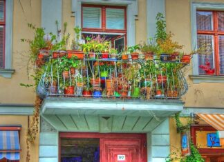 ognih italy