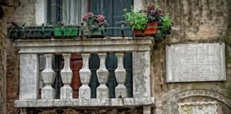 screentom venice
