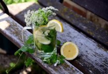 congerdesign herbs