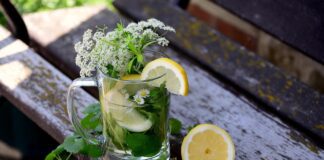 congerdesign herbs
