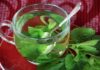 ivabalk lemon balm