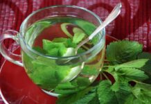 Svěží vůně meduňky jako přírodní cesta k pohodě během letních dnů ivabalk lemon balm