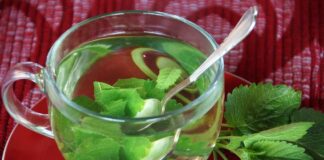 ivabalk lemon balm
