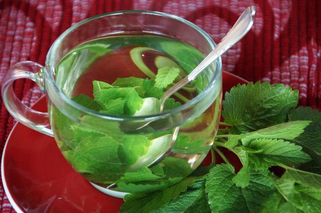 ivabalk lemon balm