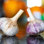 joshuavanhierden garlic