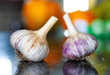 joshuavanhierden garlic