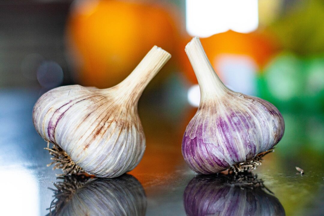 joshuavanhierden garlic