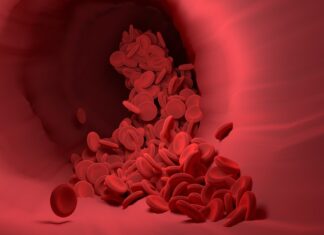 Tajemství pružných a zdravých cév: Síla bylin pro podporu krevního oběhu vectordiy red blood cells