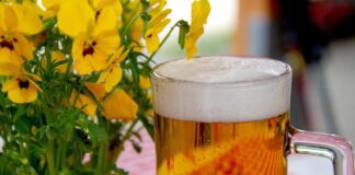 beer