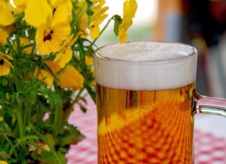 beer