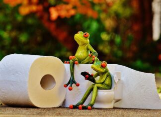 alexas fotos frog