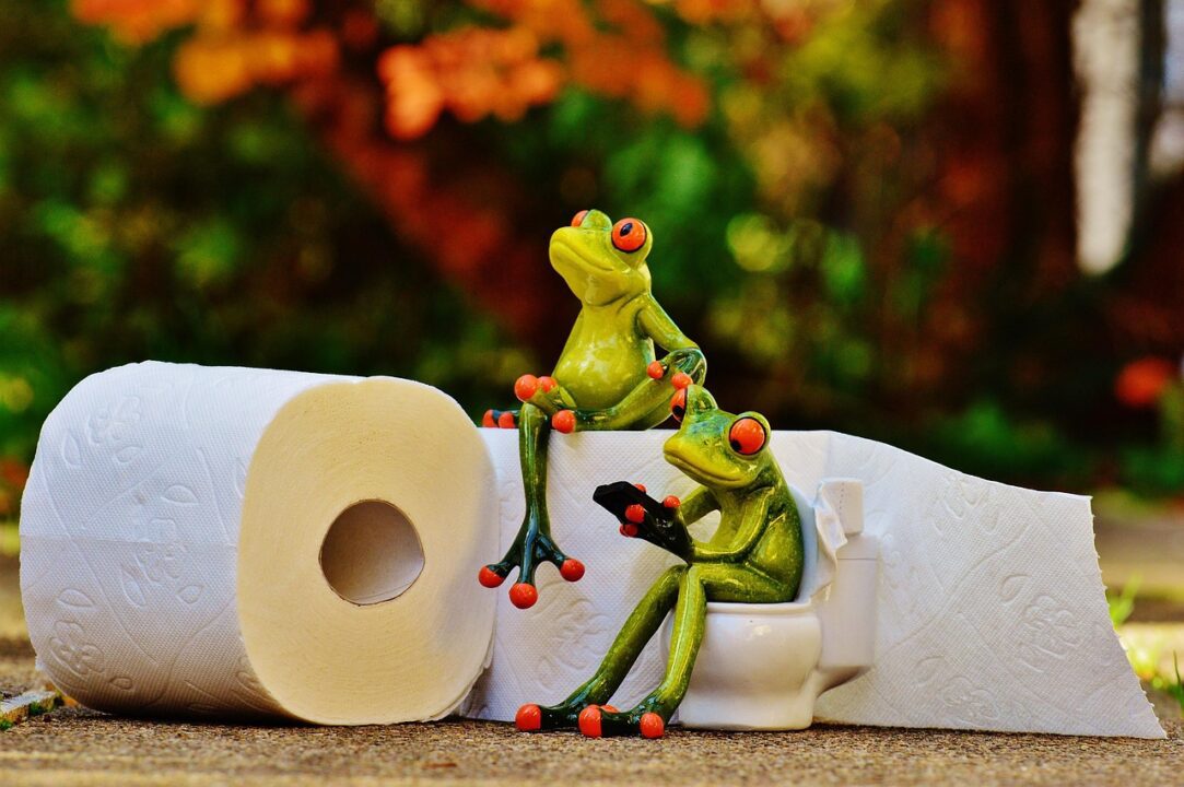 alexas fotos frog