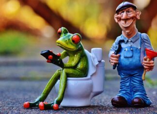alexas fotos plumber