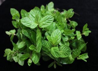 betultiker mint