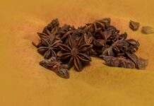 fernandozhiminaicela star anise
