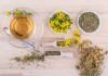 finjam johannis herbs