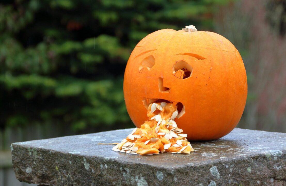 hhach pumpkin