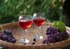 nadinnandin wine glasses