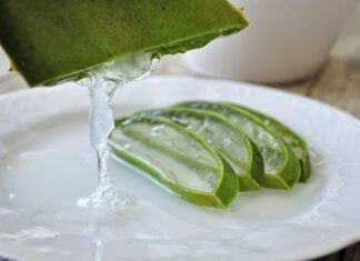rosinas aloe