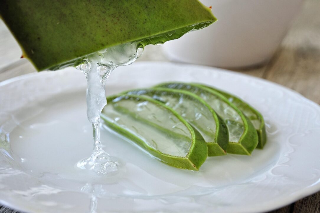 rosinas aloe