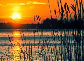 tommarc lake