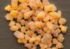 xbqs boswellia sacra