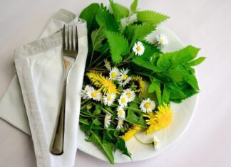 congerdesign herbs