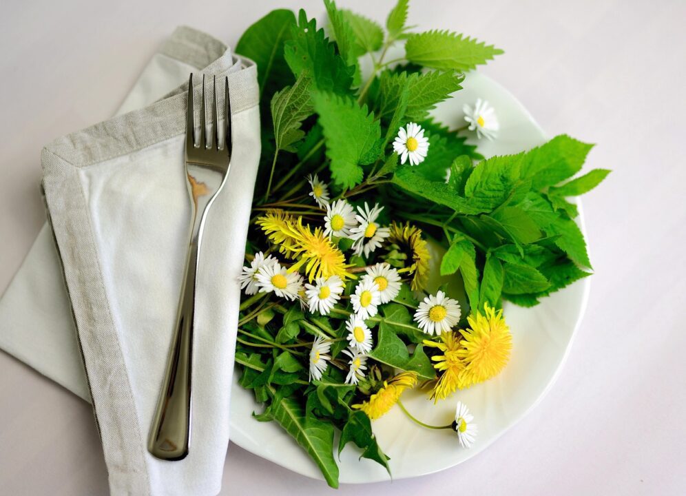 congerdesign herbs