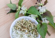 finjam flowers