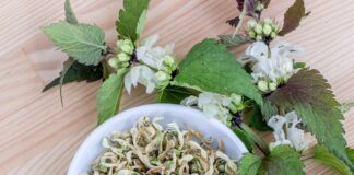 finjam flowers