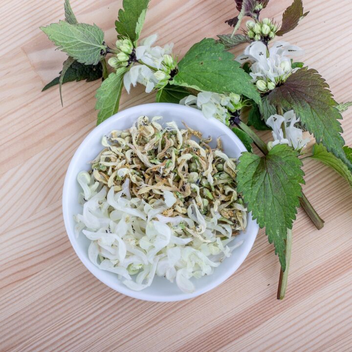 finjam flowers