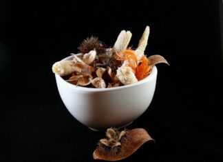 publicdomainpictures potpourri
