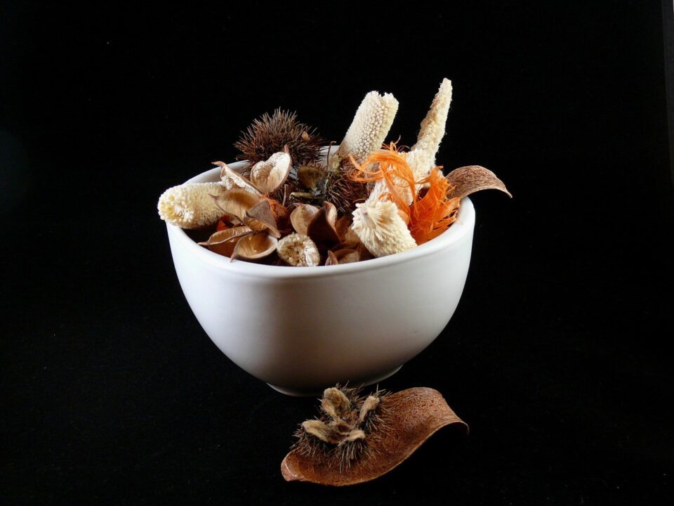 publicdomainpictures potpourri