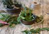 ritae spices