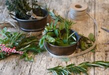 ritae spices